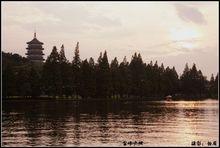 雷峰夕照[雷峰塔]