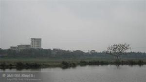 李西村[廣東湛江市下轄村]