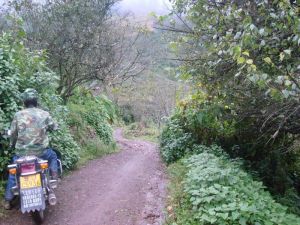 刺平掌村 刺平掌村