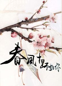 春風十里不如你[沐清雨著小說]