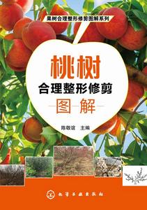 桃樹合理整形修剪圖解