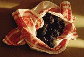 松露菌種 松露菌種