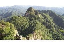 胡店鄉[陝西省寶雞市陳倉區胡店鎮]