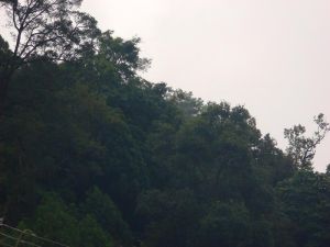 團田一自然村 團田一自然村