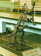 祿豐恐龍 祿豐恐龍