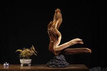 達摩祖師[對達摩的尊稱]