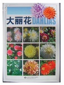 大麗花[苑兆和編著的圖書]