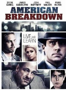 美國故事[美國2007年史蒂文·R·麥奎因主演電影]