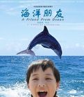 《海洋朋友》 《海洋朋友》