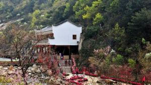 武漢姚家山旅遊風景區 武漢姚家山旅遊風景區