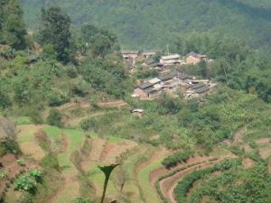 小竜坡自然村 小竜坡自然村