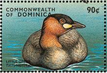 多米尼加小鸊鷉郵票