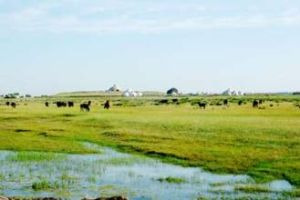 蒙和烏蘇蒙古族鄉 蒙和烏蘇蒙古族鄉