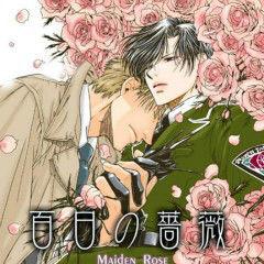 百日薔薇 百日薔薇