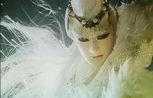 黑白郎君分身-白狼