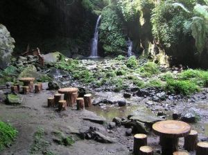 桃園蝙蝠洞 桃園蝙蝠洞