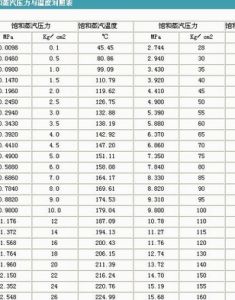 飽和蒸汽 飽和蒸汽
