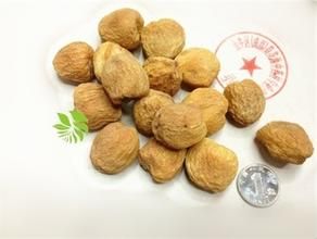 小白平菇蜜餞 小白平菇蜜餞