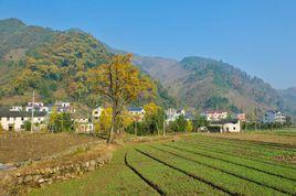 白果村[湖南省衡陽市衡山縣白果鎮白果村]