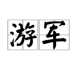 游軍[軍事用語]
