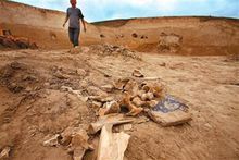 海原縣九彩鄉新莊村挖掘現場