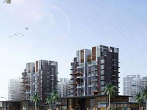 泰達天海國際 泰達天海國際