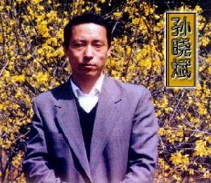 孫曉斌[寶雞市城鄉建設規劃局總工程師]