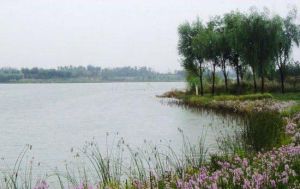 南苑小鎮農場 南苑小鎮農場