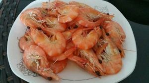 白水蝦 白水蝦