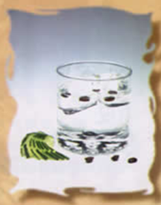 羅馬雪球 羅馬雪球