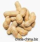 （圖）設施農作制度