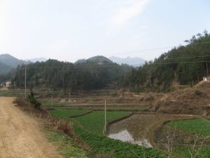 挑參溝村 挑參溝村