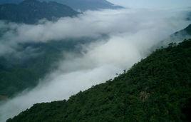 方正原始森林公園 方正原始森林公園