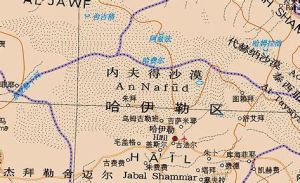 內夫得沙漠 內夫得沙漠