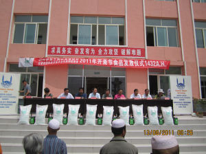 伊斯蘭國際救援組織 伊斯蘭國際救援組織