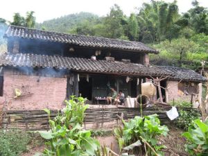 小陸箐村 小陸箐村