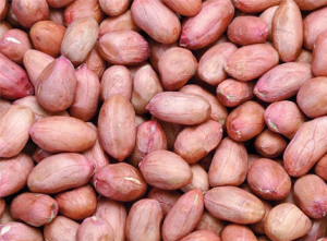 生花生的營養價值