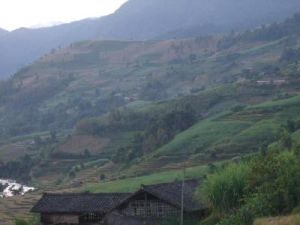 勐黑自然村 勐黑自然村