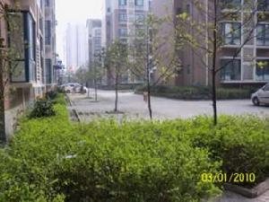 白家雅園 白家雅園