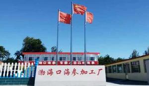 山東渤海口海洋食品有限公司 山東渤海口海洋食品有限公司