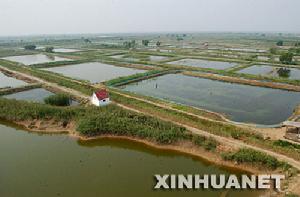 東營經濟開發區