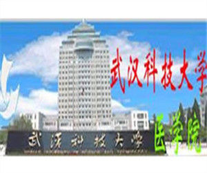武漢科技大學醫學院 武漢科技大學醫學院