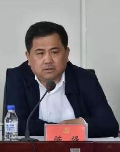 陳強[吉林市委常委]