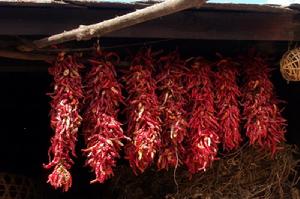 辣椒