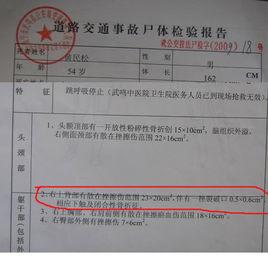 驗屍報告 驗屍報告