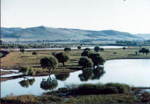 雁鳴湖國家級自然保護區