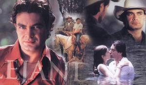 《你是我爸爸》