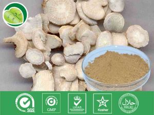 白芍萃取物 白芍萃取物