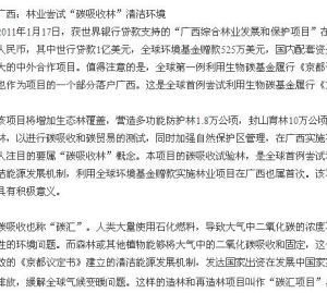 廣西：林業嘗試“碳吸收林”清潔環境