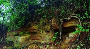 廈門萬石岩獅山 廈門萬石岩獅山